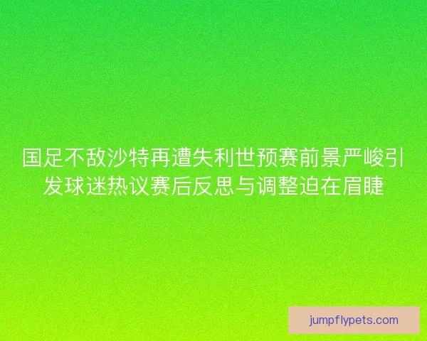 国足不敌沙特再遭失利世预赛前景严峻引发球迷热议赛后反思与调整迫在眉睫