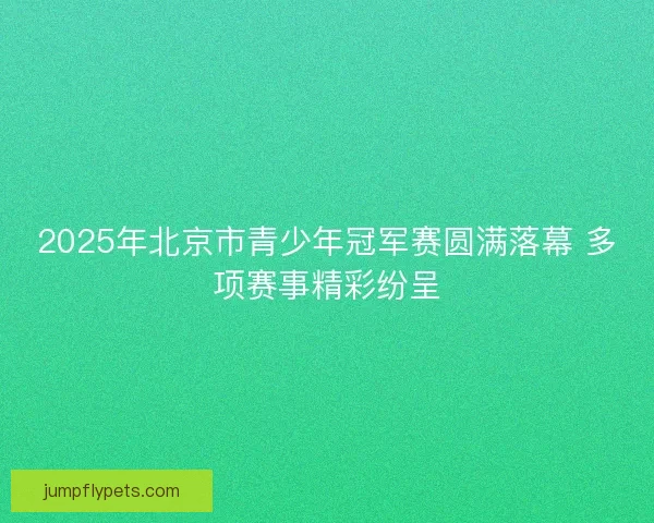 2025年北京市青少年冠军赛圆满落幕 多项赛事精彩纷呈