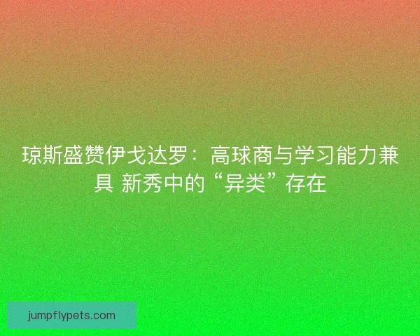 琼斯盛赞伊戈达罗：高球商与学习能力兼具 新秀中的 “异类” 存在