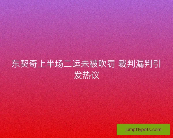 东契奇上半场二运未被吹罚 裁判漏判引发热议 东契奇上半场二运未被吹罚 裁判漏判引发热议