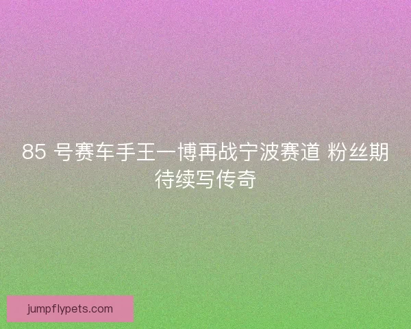 85 号赛车手王一博再战宁波赛道 粉丝期待续写传奇