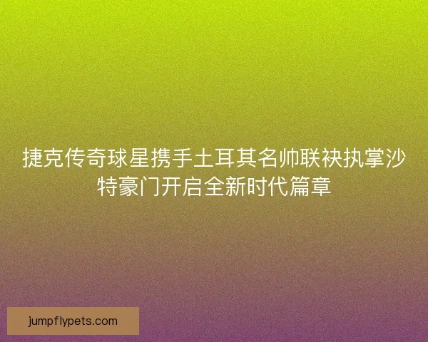 捷克传奇球星携手土耳其名帅联袂执掌沙特豪门开启全新时代篇章