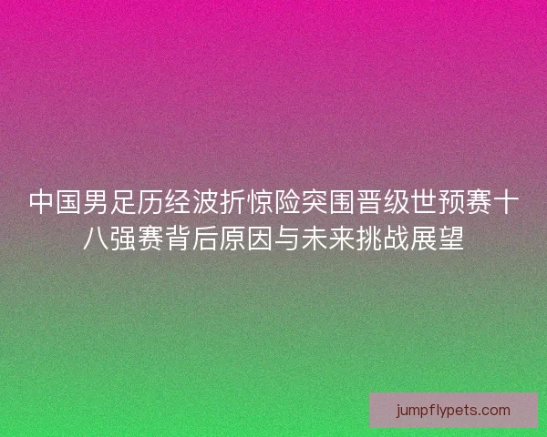 中国男足历经波折惊险突围晋级世预赛十八强赛背后原因与未来挑战展望 中国男足历经波折惊险突围晋级世预赛十八强赛背后原因与未来挑战展望